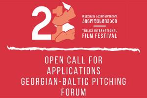 Georgian-Baltic Pitch Panel Opens Call For Project Application