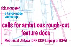 dok.incubator workshop calls for ambitious feature docs at the rough‐cut stage