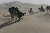 FNE at Berlinale 2015: Competition: Queen of the Desert