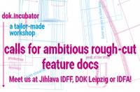 Apply for dok.incubator: deadline January 31st