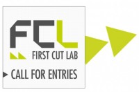 First Cut Lab Call for Projects from CEE