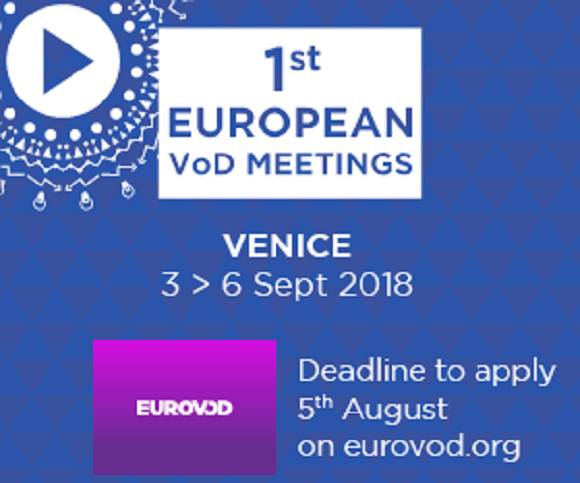 Scholarships Available for CEE Professionals at European VoD Meetings - Venice Workshop