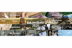 CEE Projects Selected for dok.incubator 2020