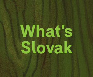 SFU 34 Banner 300x250