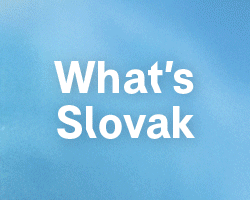 SFU 35 Berlinale Banner 250x200