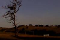 Dry Leaf by Alexandre Koberidze