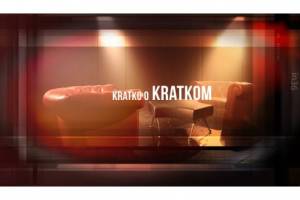 Short Fiction Films by Croatian Directors on HRT