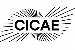 New CICAE Board of Directors elected