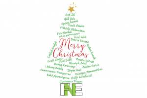 FNE wishes you a Merry Christmas and a Happy Safe and Successful New Year! See you again on 11 January 2021
