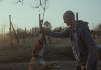 FNE at Art Film Fest 2013: My Dog Killer Screens in Main Competition