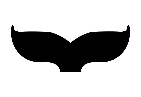 Open Call for Submissions &ndash; 31st Split Film Festival