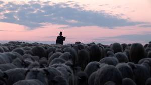 How the World is changing - Four DocTalks at Astra Film Festival about the essential issues of our time
