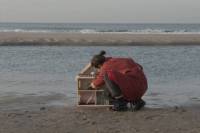 Home Is a Dollhouse by Dorottya Marton