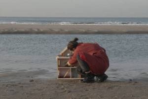 Home Is a Dollhouse by Dorottya Marton