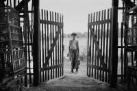 The Painted Bird by V&aacute;clav Marhoul