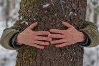 The Wind. A Documentary Thriller by Michal Bielawski