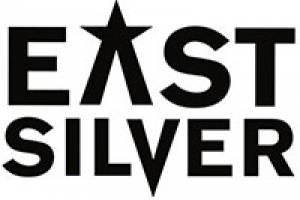 FNE IDF DocBloc: East Silver Market 2017: Call for Submissions