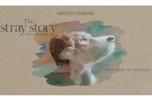 The Stray Story: A Dogumentary by Christina Georgiu 