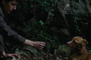Stefan Đorđević&rsquo;s Wind, Talk to Me Wins Big at Adriatic Film and TV Awards 2026