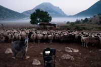 PRODUCTION: Doc coproduction The Last Transhumance in Postproduction