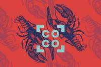 FNE at connecting cottbus 2020: Croatian Honey Bunny Hops Away with Two Awards