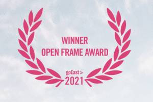 The Spheres City - winner of the Open Frame Award, GoEast