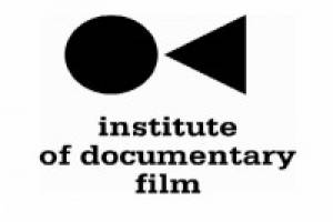 FNE IDF DocBloc: Media and Society: European Documentary in a Changing Media Landscape