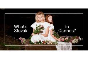 FNE at Cannes Film Festival 2026: Slovak Cinema in Cannes