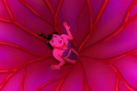 Adgwa-Ata by Zsuzsanna Kreif