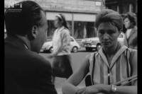 Encounter by Judit Elek