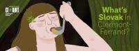 What&rsquo;s Slovak in Clermont-Ferrand &ndash; Central European Cinema stand